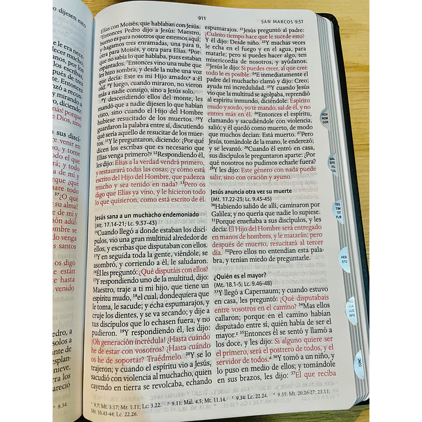 Biblia Tamaño Manual RVR60 Edición Especial León de Judá 3D Con Índice 3