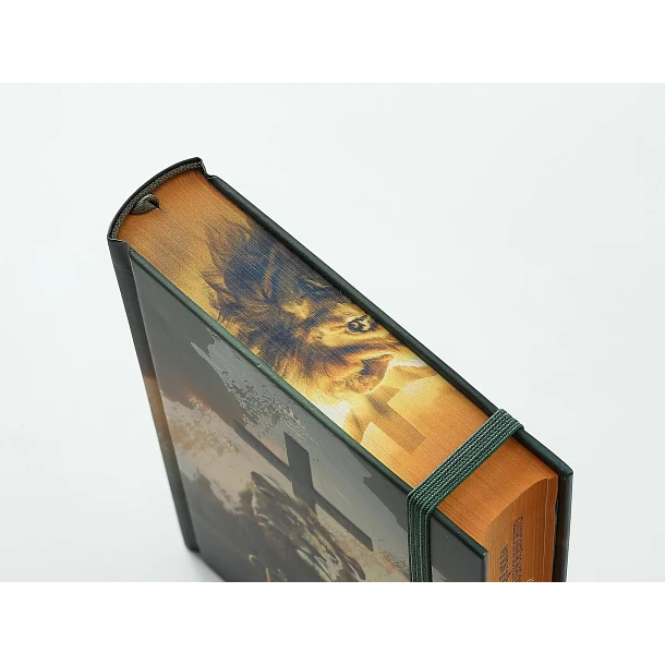 Biblia Tamaño Manual Letra Grande RVR60 Con Elástico León Victoria 2