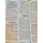 Biblia Tamaño Manual Letra Grande RVR60 Con Elástico León de Judá 3