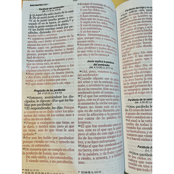 Biblia Tamaño Manual Letra Grande RVR60 Con Elástico León de Judá 3
