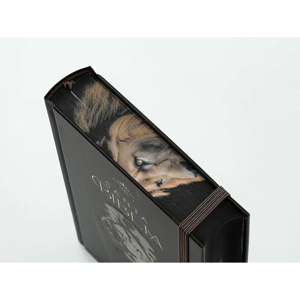 Biblia Tamaño Manual Letra Grande RVR60 Con Elástico León de Judá 2