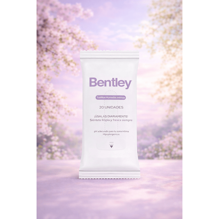 Bentley Wipes Toallas Húmedas  x20 Pack x6 5