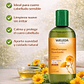 Fitoshampoo Caléndula Cuero Cabelludo Sensible Weleda 250ml - Miniatura 4