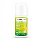 Desodorante Roll On Citrus Weleda 24 Horas 50ml - Miniatura 1