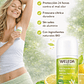 Desodorante Roll On Citrus Weleda 24 Horas 50ml - Miniatura 3