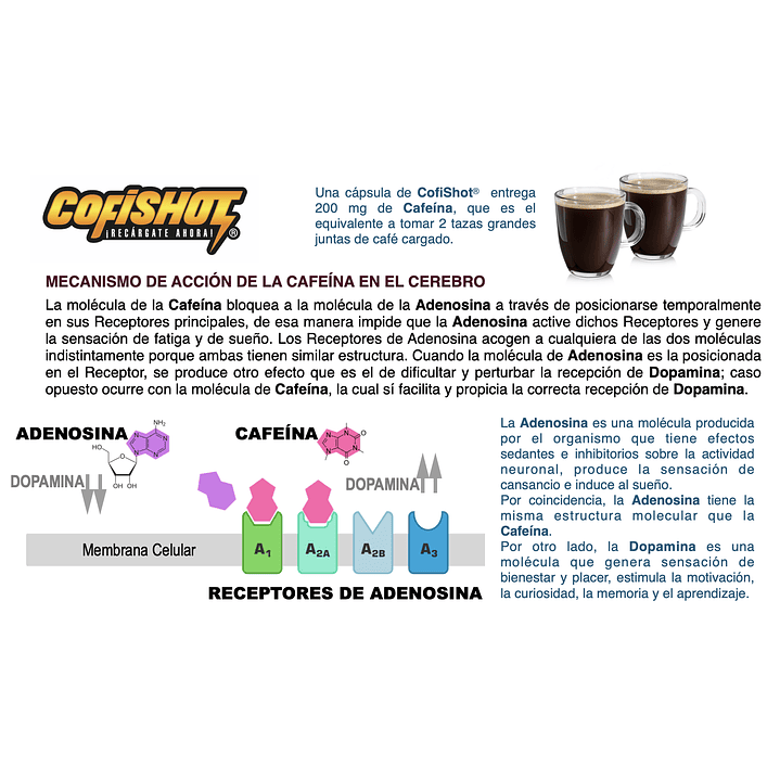 Cofishot 30 Cápsulas 730 mg Energía y Vitalidad 5