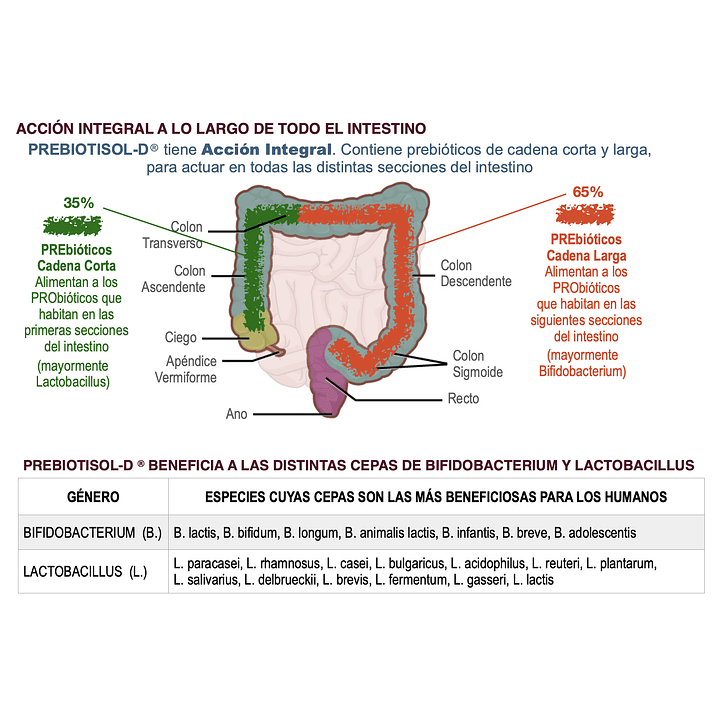 Prebiotisol D 60 Cápsulas 600 mg Salud Digestiva Pack x2 8