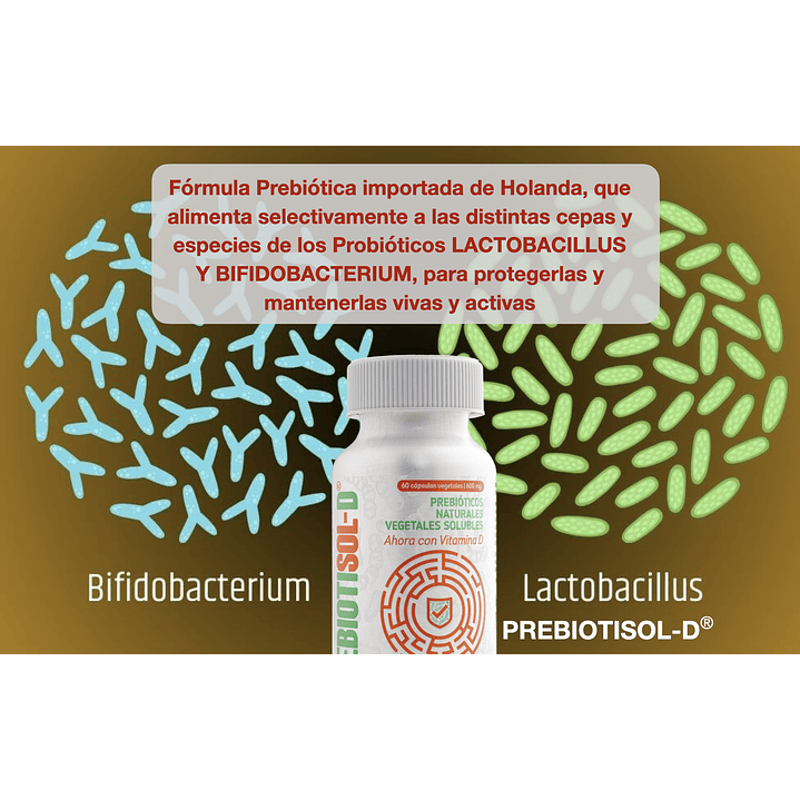 Prebiotisol D 60 Cápsulas 600 mg Salud Digestiva Pack x2 6