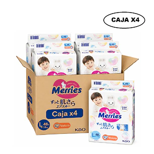 Pañales Merries Con Cierre Talla L  9-14 Kg X48 Unidades Caja x4