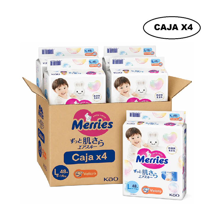 Pañales Merries Con Cierre Talla L  9-14 Kg X48 Unidades Caja x4 1