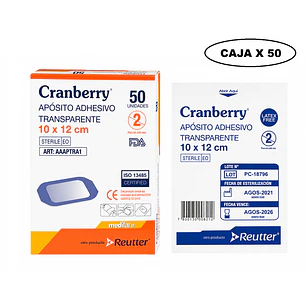 Aposito Transparente Cranberry 10x12 Caja x 50