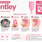 Copa Menstrual Bentley Talla S T-1 - Miniatura 6