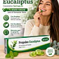 Caramelo Propoleo Eucaliptus Springlife 10 Unidades Caja X20 - Miniatura 4