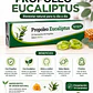 Caramelo Propoleo Eucaliptus Springlife 10 Unidades Caja X20 - Miniatura 6