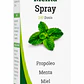 Propoleo Menta Spray Springlife 30Ml Pack X6 - Miniatura 2