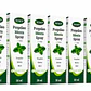 Propoleo Menta Spray Springlife 30Ml Pack X6 - Miniatura 1