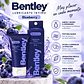 Bentley Gel Lubricante Íntimo Blueberry 50 Gr - Miniatura 4