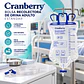Bolsa Recolectora de Orina Adulto 2 Litros Cranberry Estándar Pack X50 - Miniatura 6