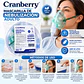 Mascarilla de Nebulización para Adulto Cranberry Caja X50 - Miniatura 4