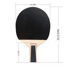 Set ping-pong tradicional 2