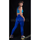 Calza Fajera C59 1