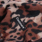 Bufanda C-66 5