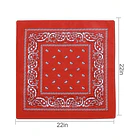 Pañuelo/Bandana GRAV722 12