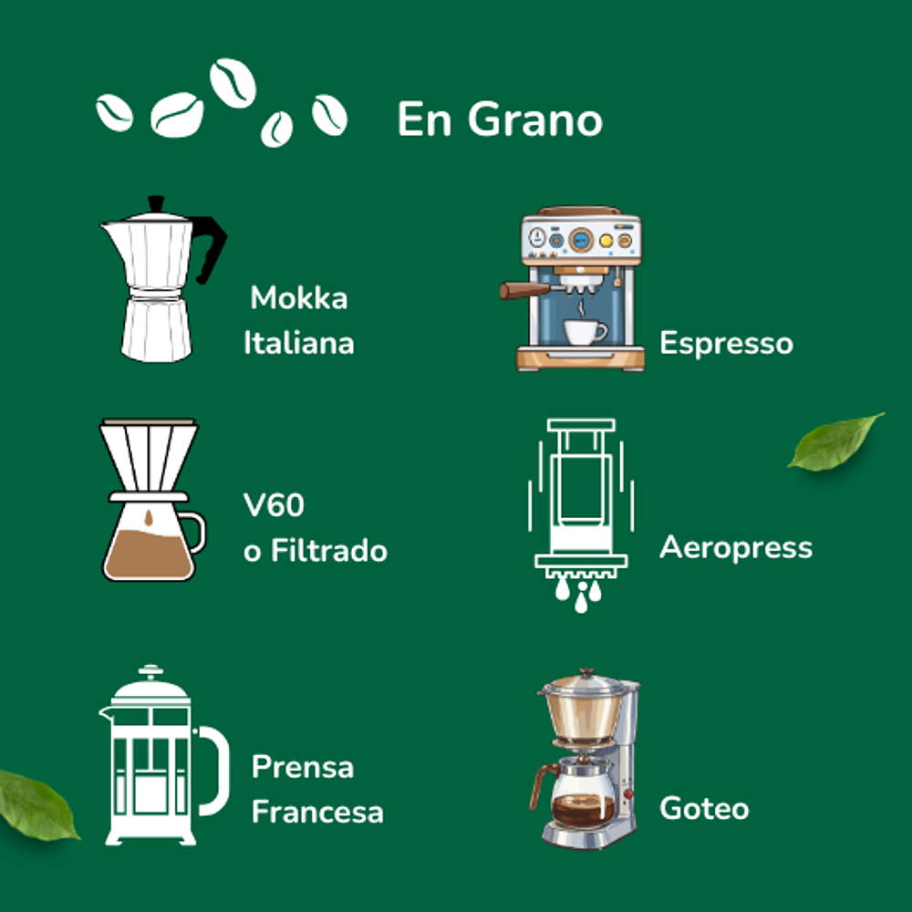 Café de especialidad Mexico Masellesa 100g  