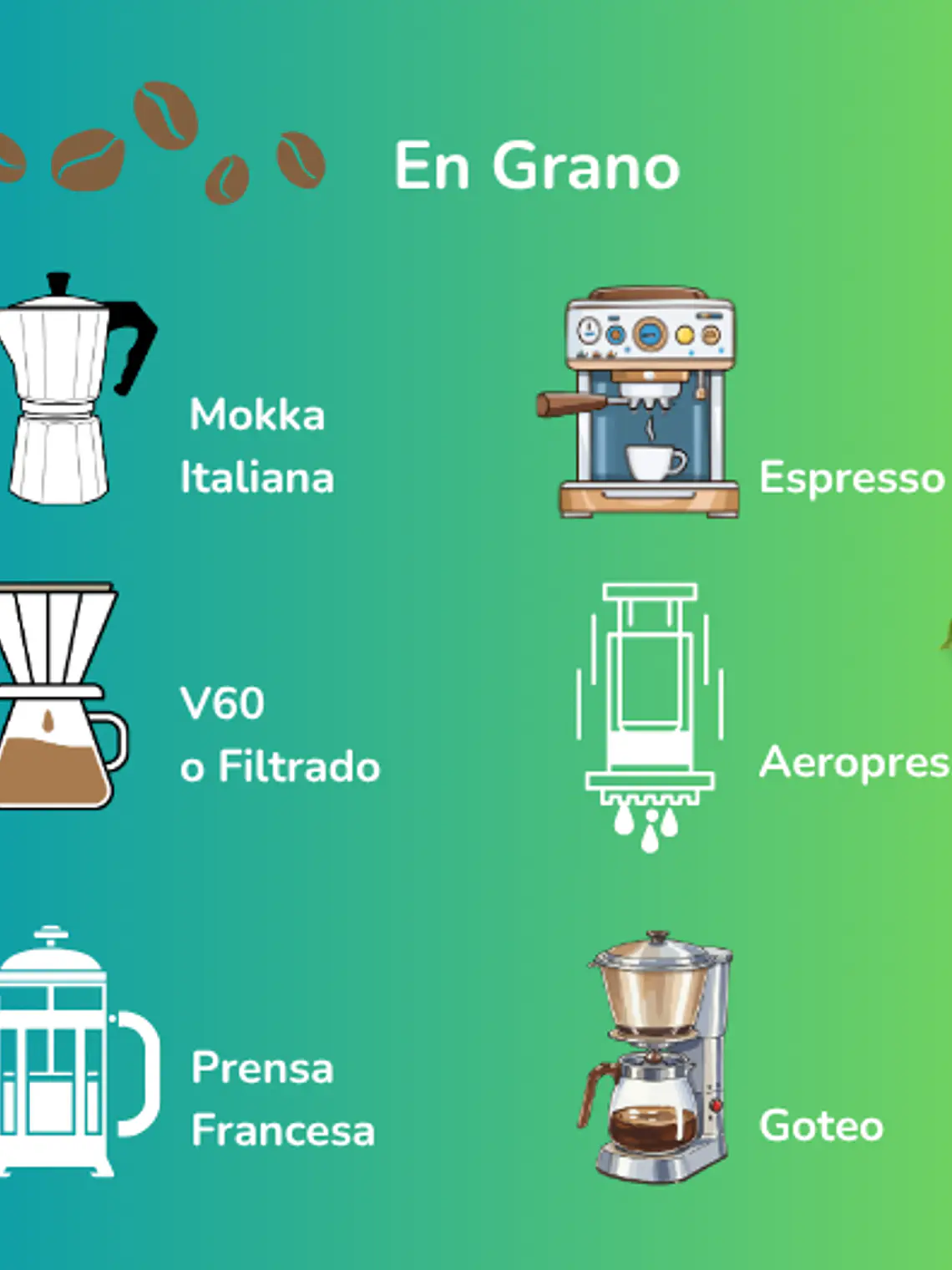 Café de Especialidad Bolivia Bourbon Natural · Dulce y Complejo · 250g 3