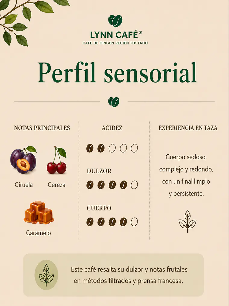 Café de Especialidad Bolivia Blend Jugoso | Dulce, Persistente y Elegante | 250g 3