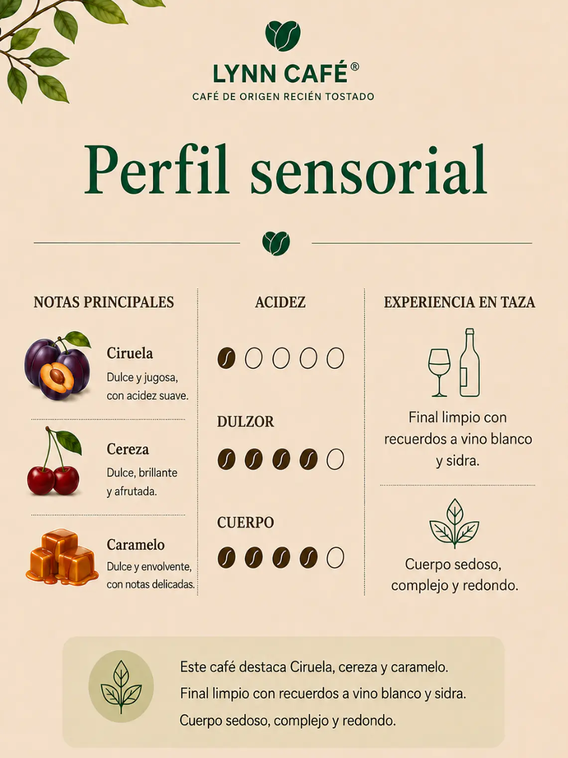 Café de Especialidad Bourbon Natural Bolivia | Dulce, Complejo y Envolvente 250g 3