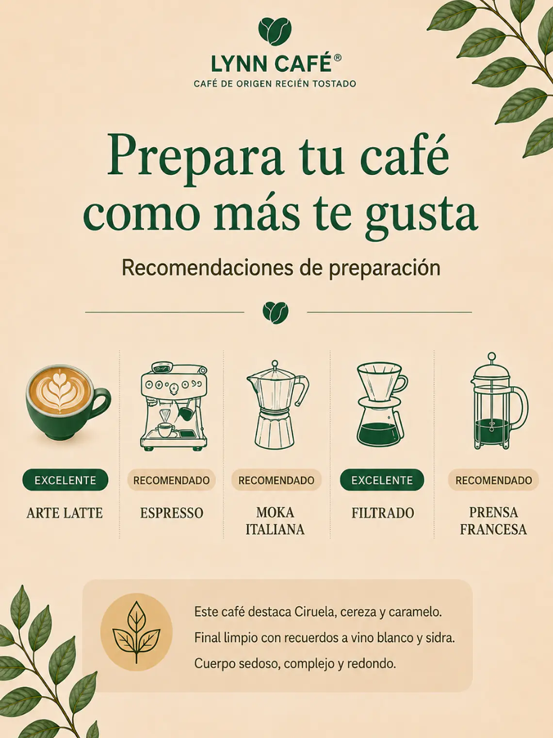 Café de Especialidad Bourbon Natural Bolivia | Dulce, Complejo y Envolvente 250g 4