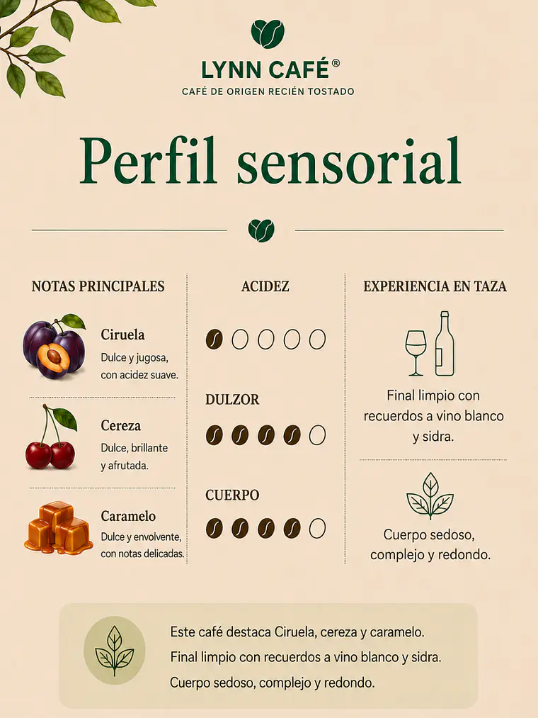 Café De Especialidad Bolivia Bourbon Natural · Dulce y Complejo · 100g 3