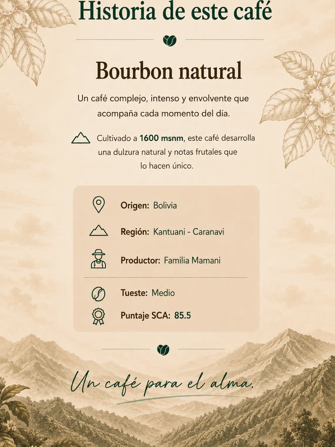Café De Especialidad Bolivia Bourbon Natural · Dulce y Complejo · 100g 5