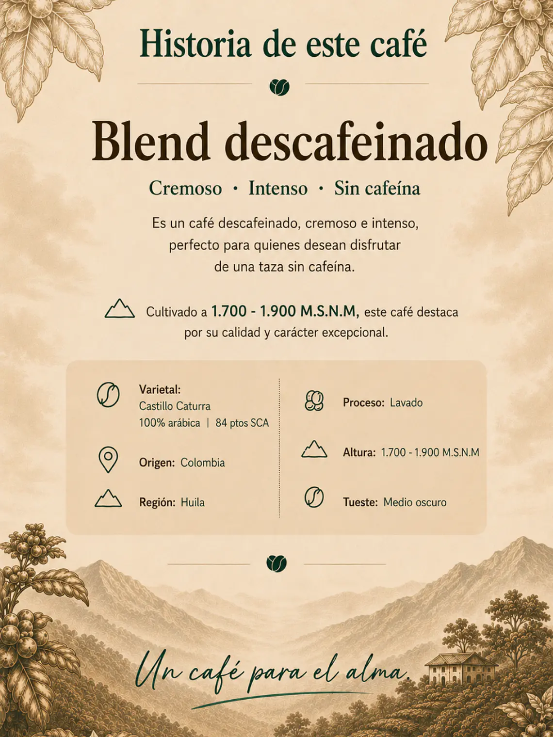 Café Descafeinado de Especialidad Colombia 250g 5