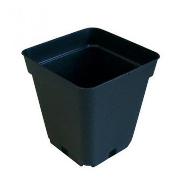 Maceta 5LT