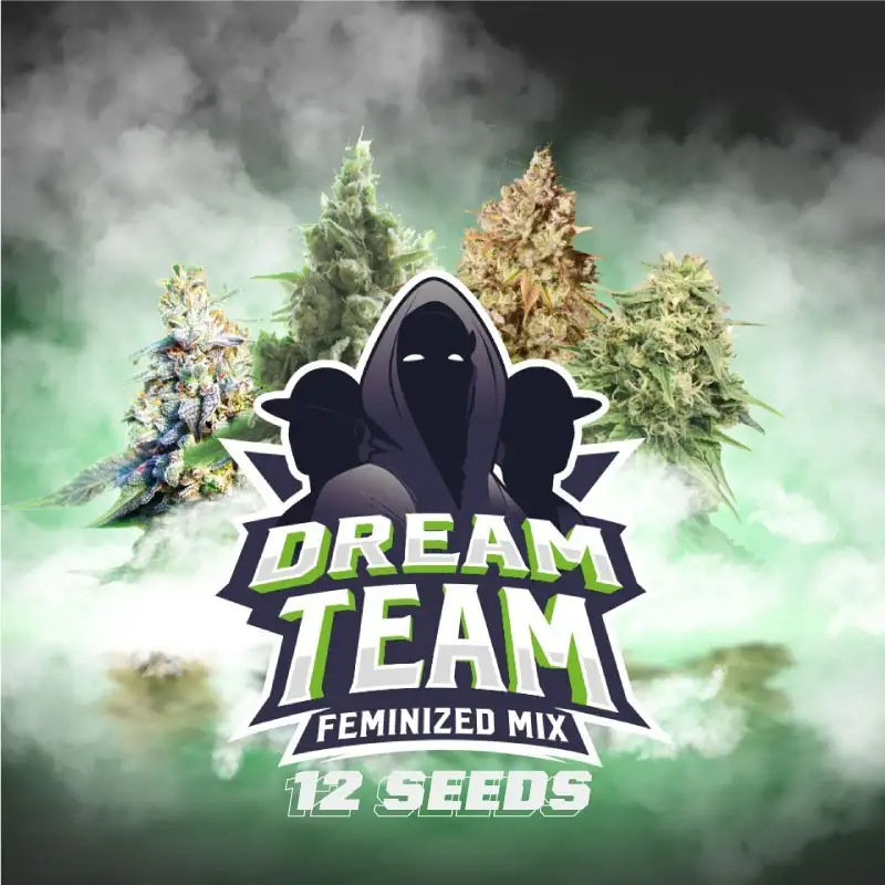 Dream Team Fem Mix (12u)