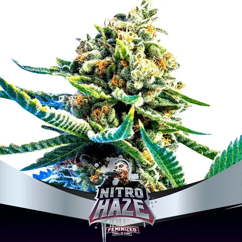 Nitro Haze FEM (7U)
