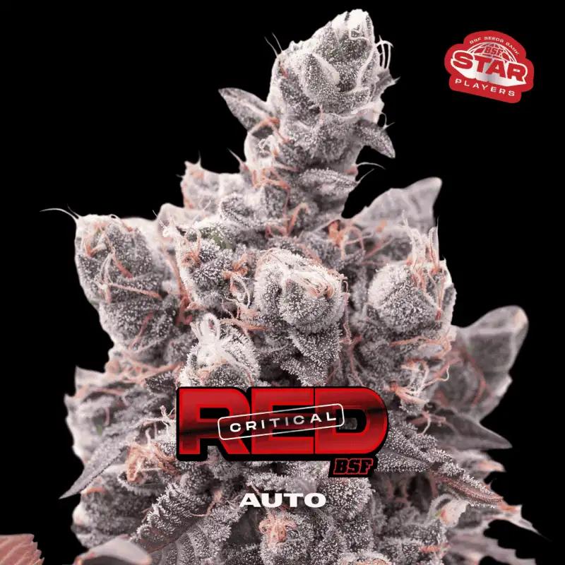 Red critical AUTO (7U)