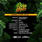 Gorilla Piña Auto (7U) - Miniatura 2