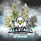 All Stars Usa Auto Mix (12U) - Miniatura 1