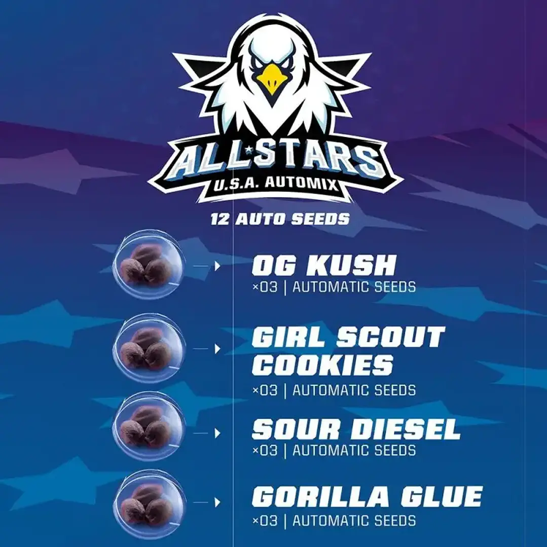 All Stars Usa Auto Mix (12U) 2