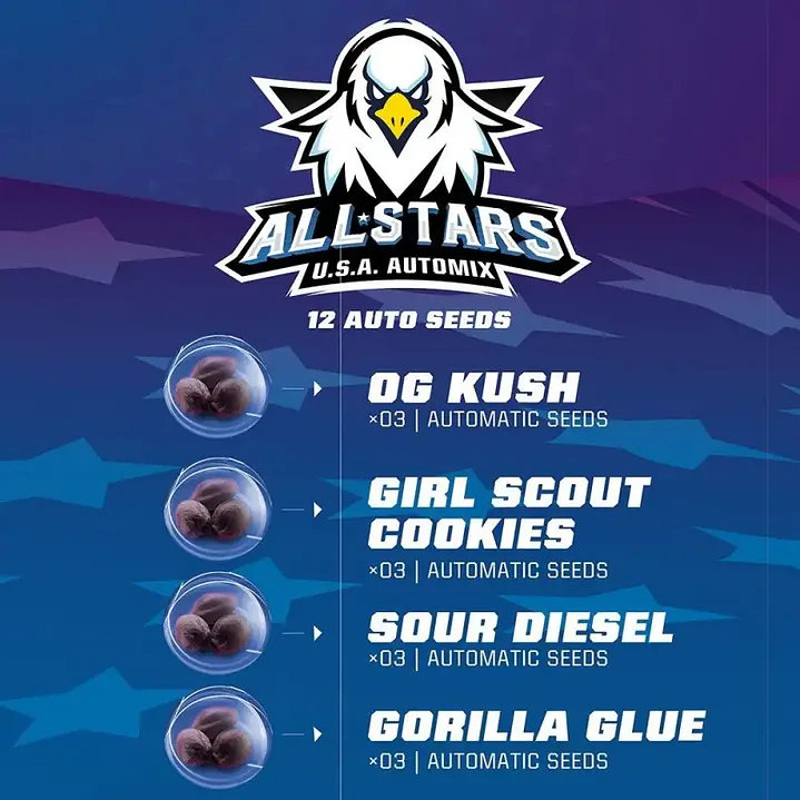 All Stars Usa Auto Mix (12U) 2