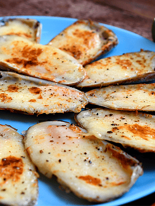 Macha Media Concha XL 