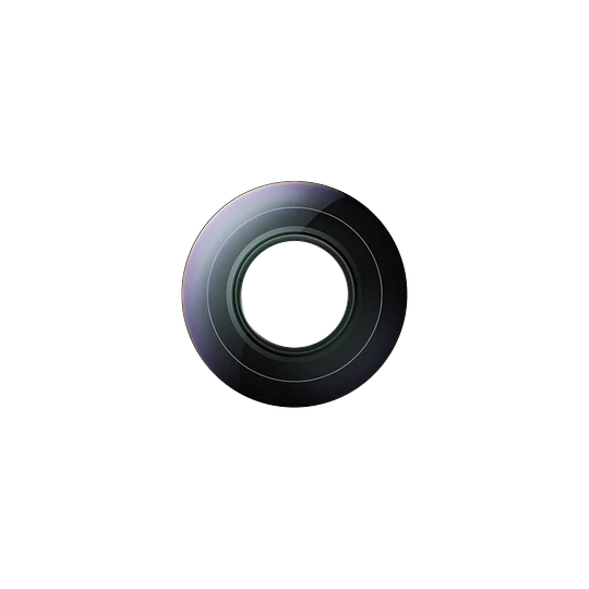 Lente de reemplazo Insta360 x6