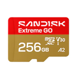 Sandisk extreme Go 256 GB