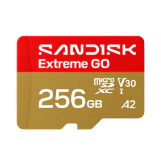 Sandisk extreme Go 256 GB