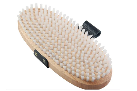 Cepillo de Nylon Ovalado para Base Ski Snowboard 