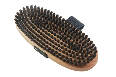 Cepillo Pelo de Caballo Ovalado para Base Ski Snowboard 