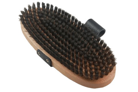 Cepillo Metálico Ovalado para Base Esquí Ski Snowboard 